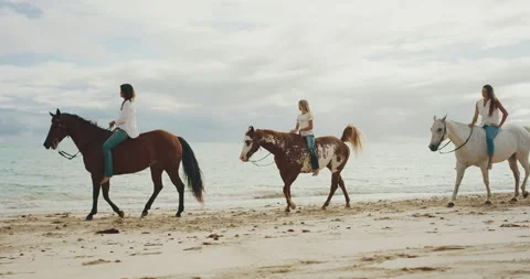 Riding Horses with Friends Stock Footage 135189264