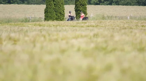 Riding horses in the German countyside 스톡 동영상 68979062