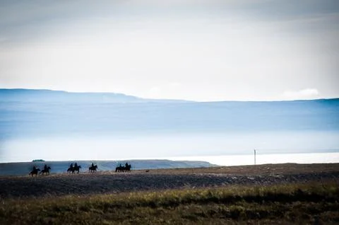 Riding horses Stock Photos
