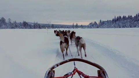 Riding husky sledge in Lapland landscape Stock Footage