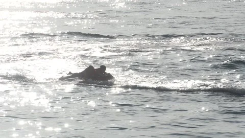 Riding an inflatable donut behind a fast boat Stock Footage 315879750