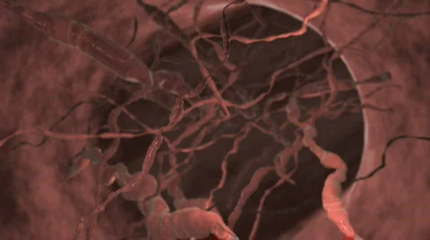 Riding inside a vein Stock Footage 83899