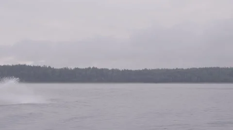 Riding a jetski Stock Footage 62758058