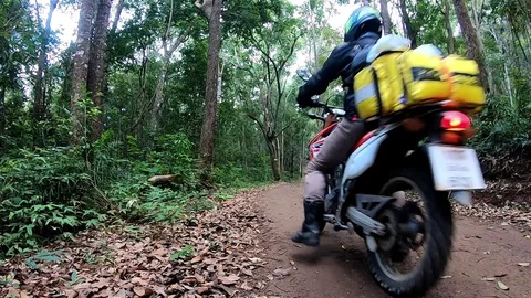 Riding in the jungle1 Stock Footage 108133937