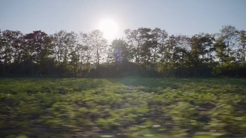Riding by Landscape - Field and Trees Stock Footage 170764604