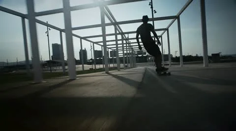 Riding a longboard Stock-Footage 20487551