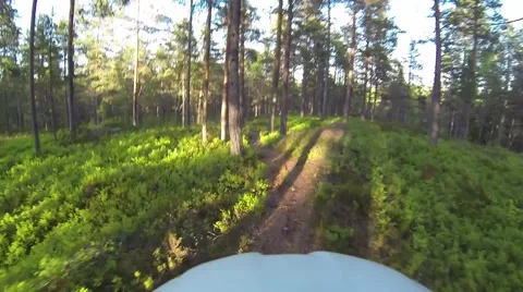 Riding lush trail Vídeo Stock 63413921