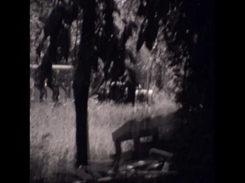 Riding miniature train Stock-Footage 72867192