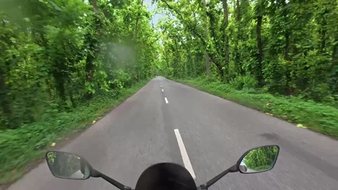 Riding motorcycle on empty asphalt road through lush green forest POV view Stock Footage 340141281