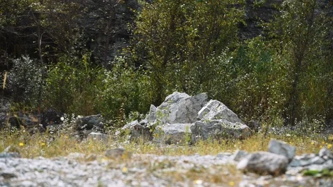 Riding on motorcycle through the rocks on the rear wheel 4k Stock-Footage 89599508