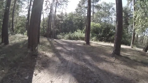 Riding a mountain bike Stock Footage 26348782