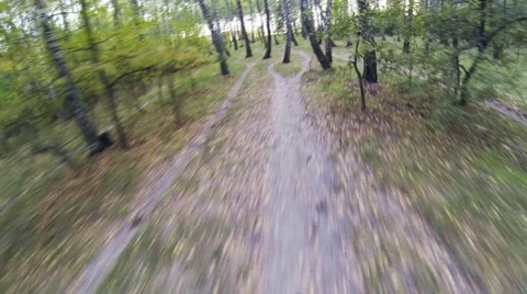 Riding a mountain bike in forest. Stock Footage 55912901