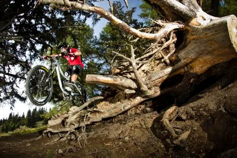 Riding over a fallen tree Stock Photos