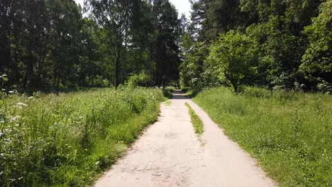 Riding a path in the forest in summer Video stock 133568315