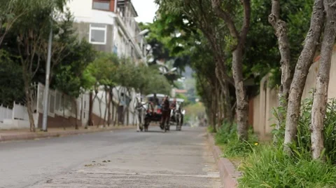 Riding phaeton 2 Video stock 5504287