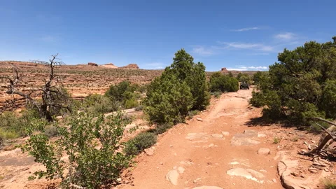 Riding off road desert forest trail rocky ledge arid pov 4K Stock Footage 131028270