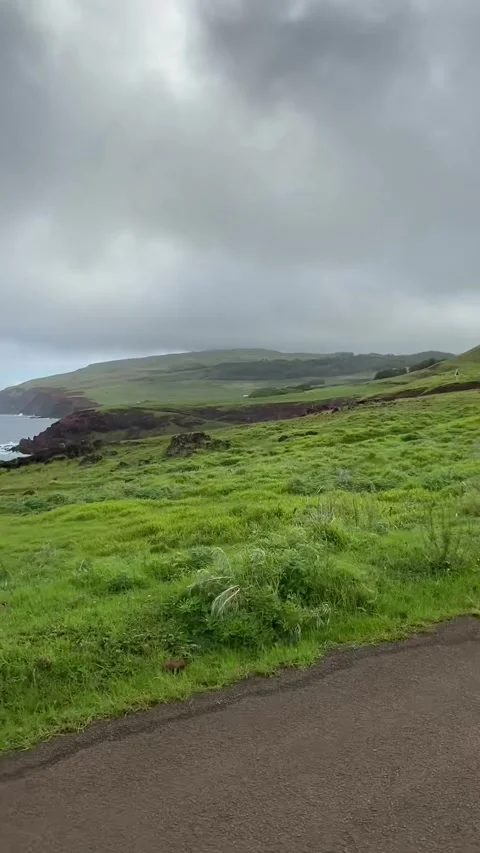 Riding on a road in Easter Island 스톡 동영상 342837491