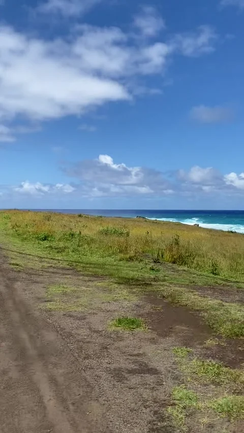 Riding on a road in Easter Island 스톡 동영상 342838691