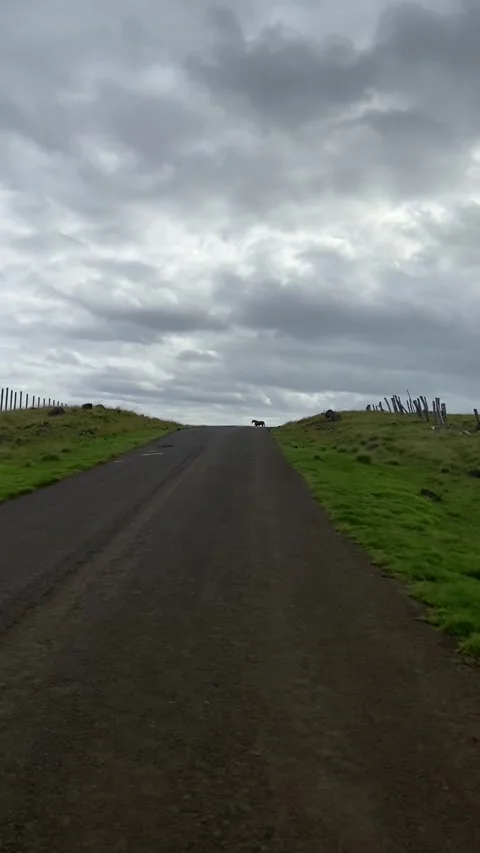 Riding on a road in Easter Island Stock Footage 342841096