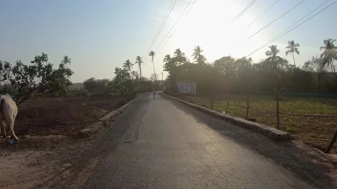 Riding on the roads of goa, Sunlight Rays hitting direct in the face, Goa life, Stock Footage 141382161