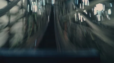 Riding on a Roller Coaster Video stock 54120531