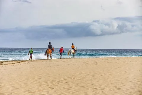 Riding school on the beach Stock Photos