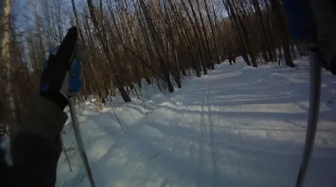 Riding on skis 動画素材 8684603