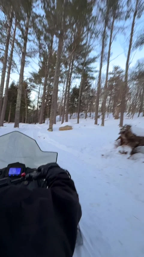 Riding a snowmobile on a snowy forest trail, vertical over-the-shoulder view Stock Footage 346534653