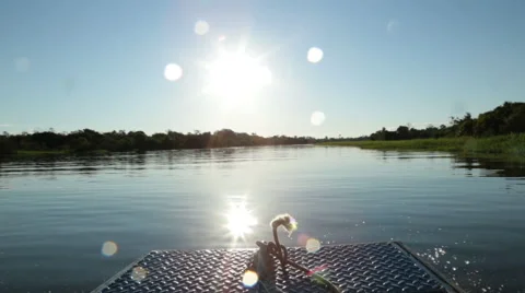 Riding a Speedboat On The Amazon River in front of a beautiful great blue sky wi Stock Footage 54263701