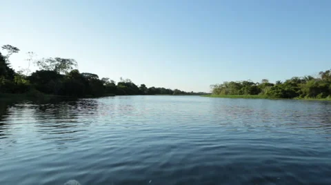 Riding a Speedboat On The Amazon River in front of a beautiful great blue sky Stock Footage 54263747
