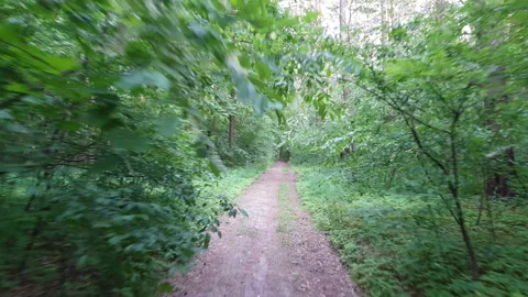Riding Spring Forest Road Timelapse Stock Footage 109186065