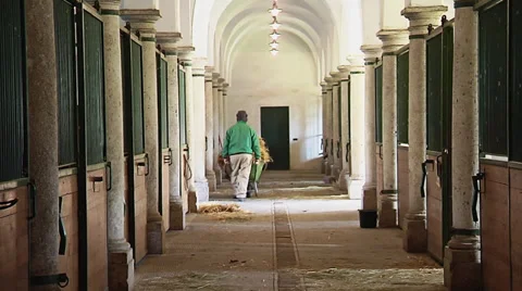 Riding stable boxes beeing cleaned 動画素材 31290336