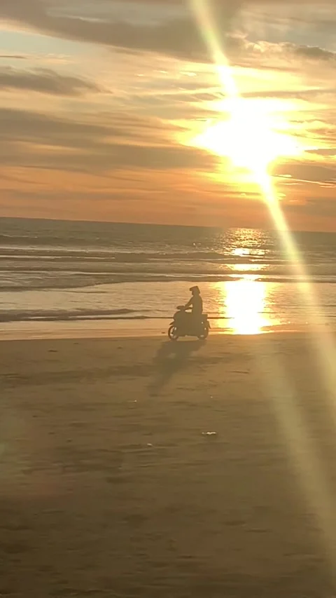 Riding on sunsets beach Vídeos de archivo 233230995