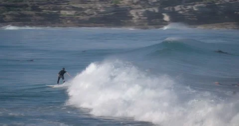 RIDING SURF WAVES BRONTE BEACH 動画素材 163273194