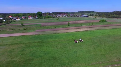 Riding through the fields and forests //AERIAL FOOTAGE// Stock Footage 61726535