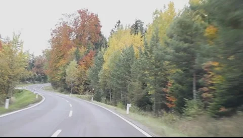 Riding through the forest in autumn Vídeos de archivo 8766678