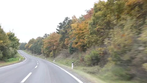 Riding through the forest in autumn Vídeos de archivo 8767039