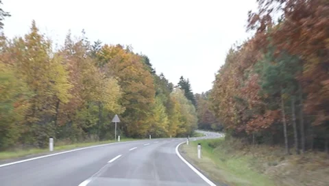 Riding through the forest in autumn Vídeos de archivo 8767630