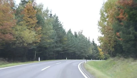 Riding through the forest in autumn Vídeos de archivo 8767963