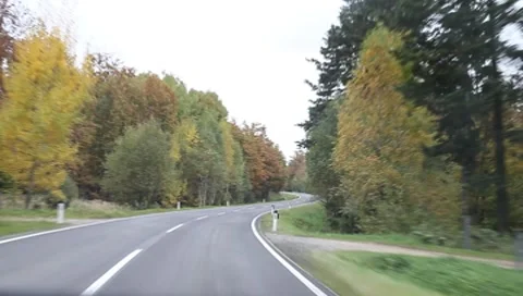 Riding through the forest in autumn Vídeos de archivo 8768199