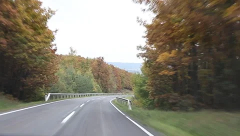 Riding through the forest in autumn Vídeos de archivo 8769496