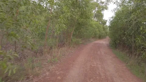 Riding through narrow forest dirt road with muddy puddles Vidéo 132327015