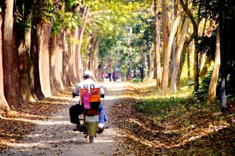 Riding through woods Foto stock