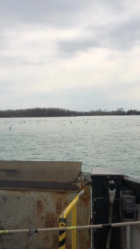 Riding Toronto Island ferry Vídeo Stock 323751333