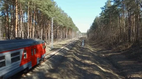 Riding the train to the spring forest Stock Footage 83999933