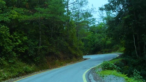 Riding the turnings in a empty road between green nature Stock Footage 247400461