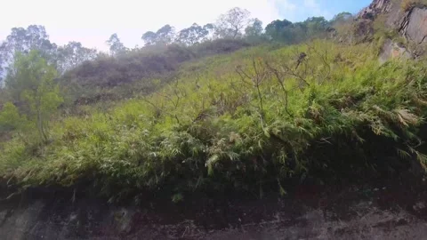 Riding in vehicle looking out the window from bottom to top of the cliff with bo Stock-Footage 266503512