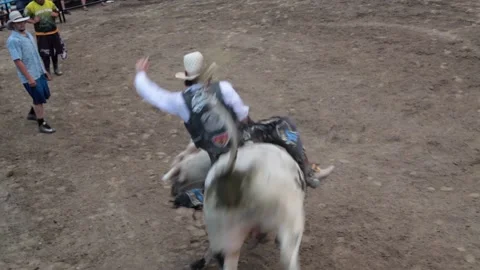 Riding a white bull Stock Footage 143754415