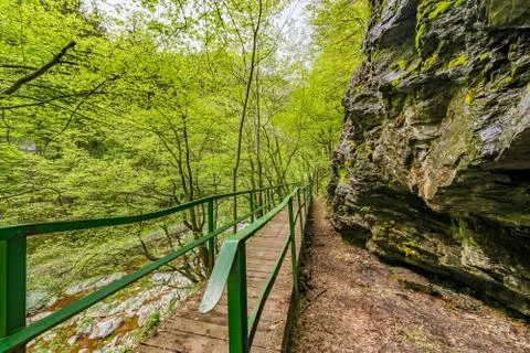 Rieger's trail Stock Photos