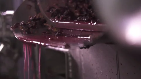 Riesling grape juice streaming from a press. Close up. Slow motion. Stock Footage 153813282